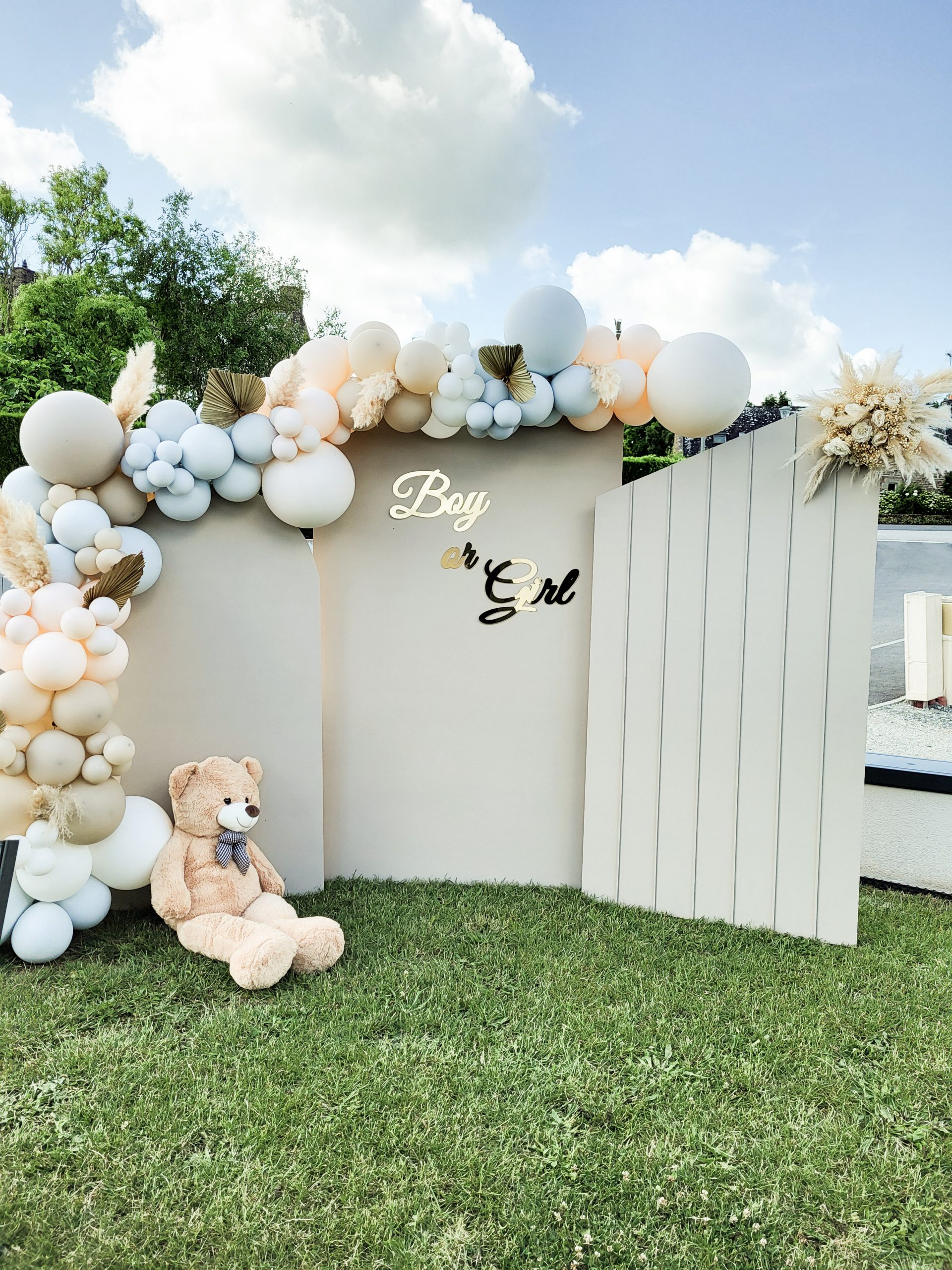 decoration gender reveal avec ballons vannes
